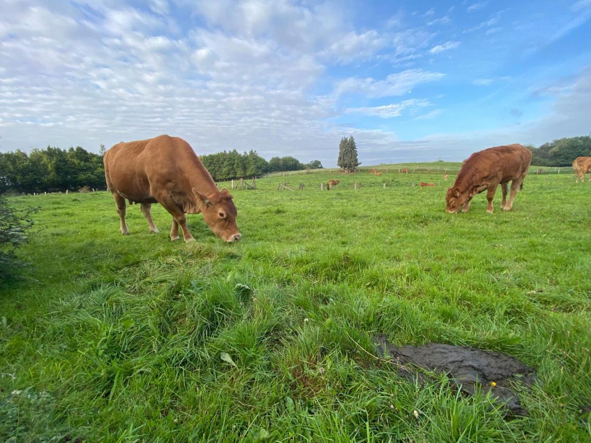 K 357 - Low Budget Hotel In Ratekau Bei Luebeck エクステリア 写真